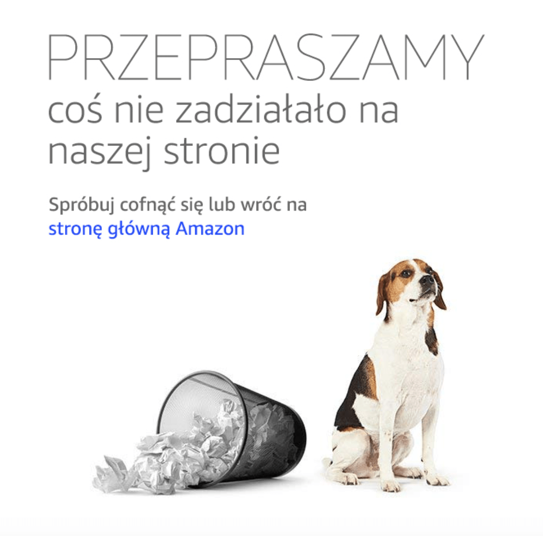 amazon po polsku