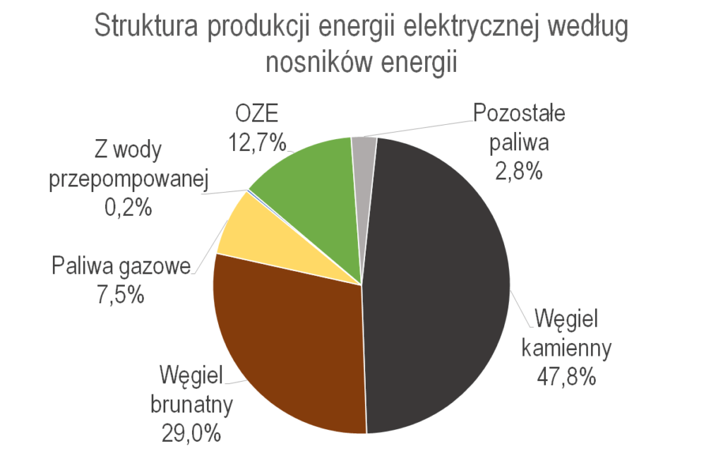 polska auta elektryczne