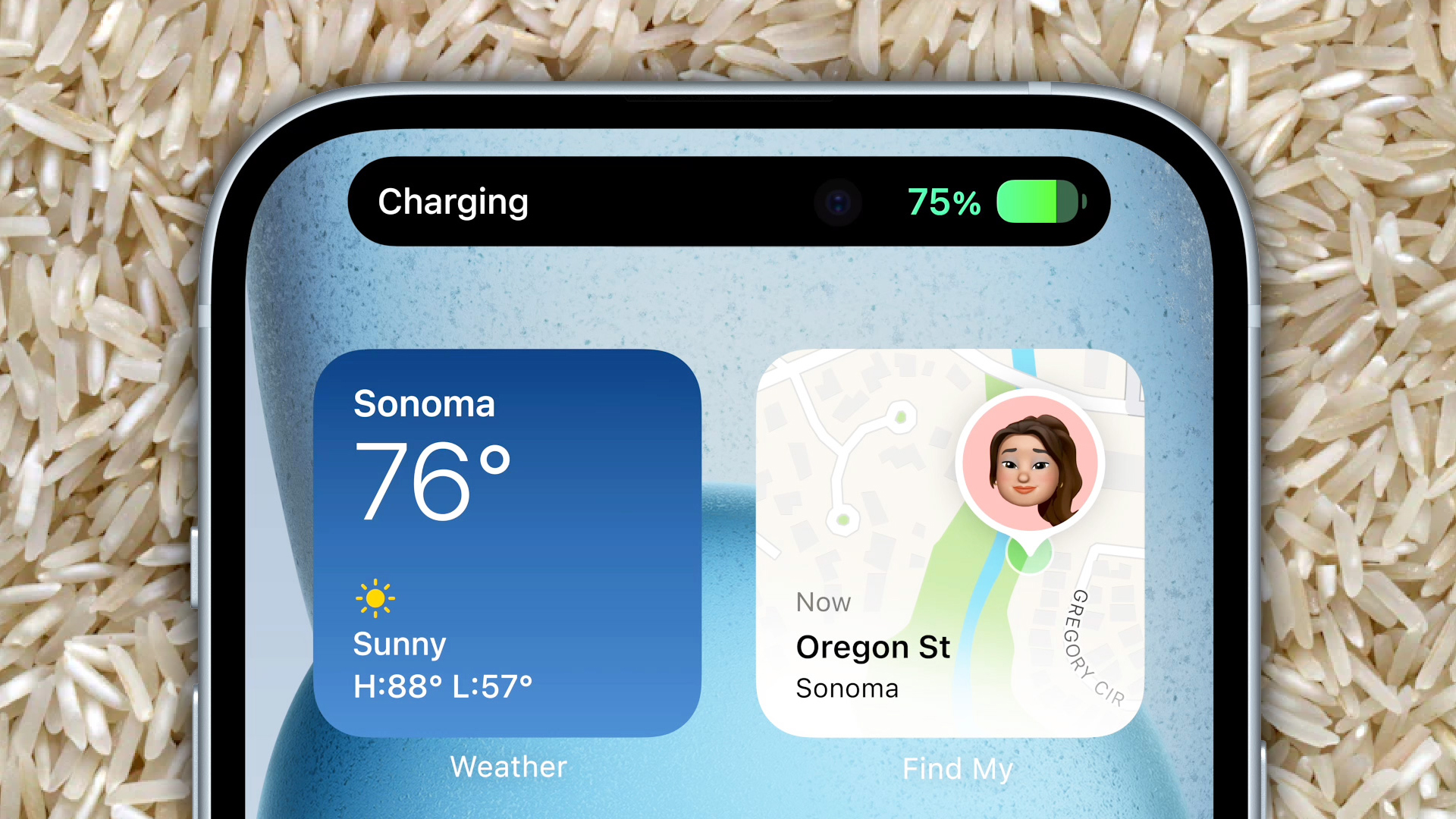 iPhone do ryżu - tak czy nie