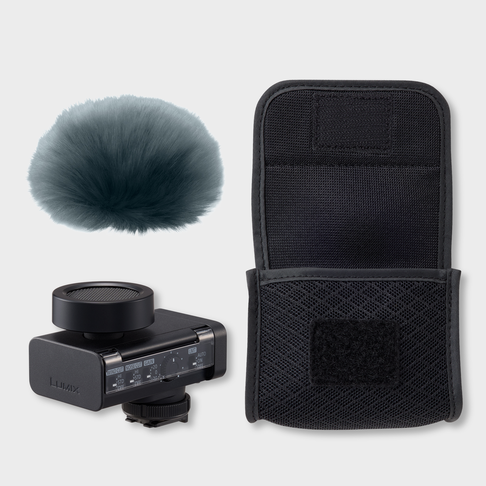 Panasonic LUMIX DMW-DMS1