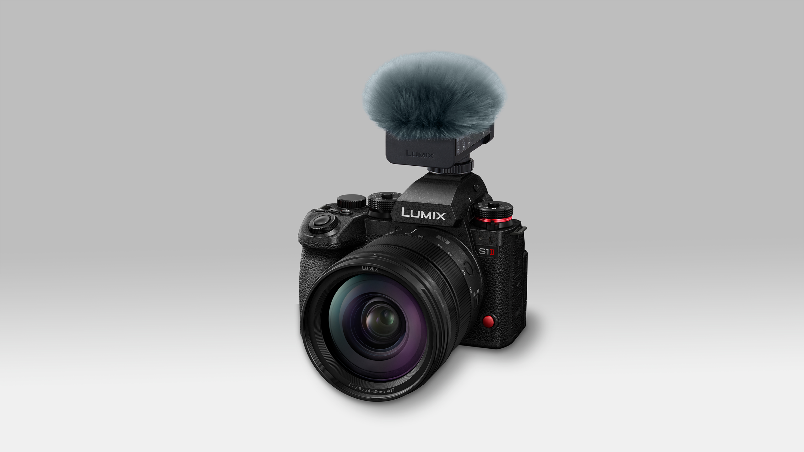 Panasonic LUMIX DMW-DMS1