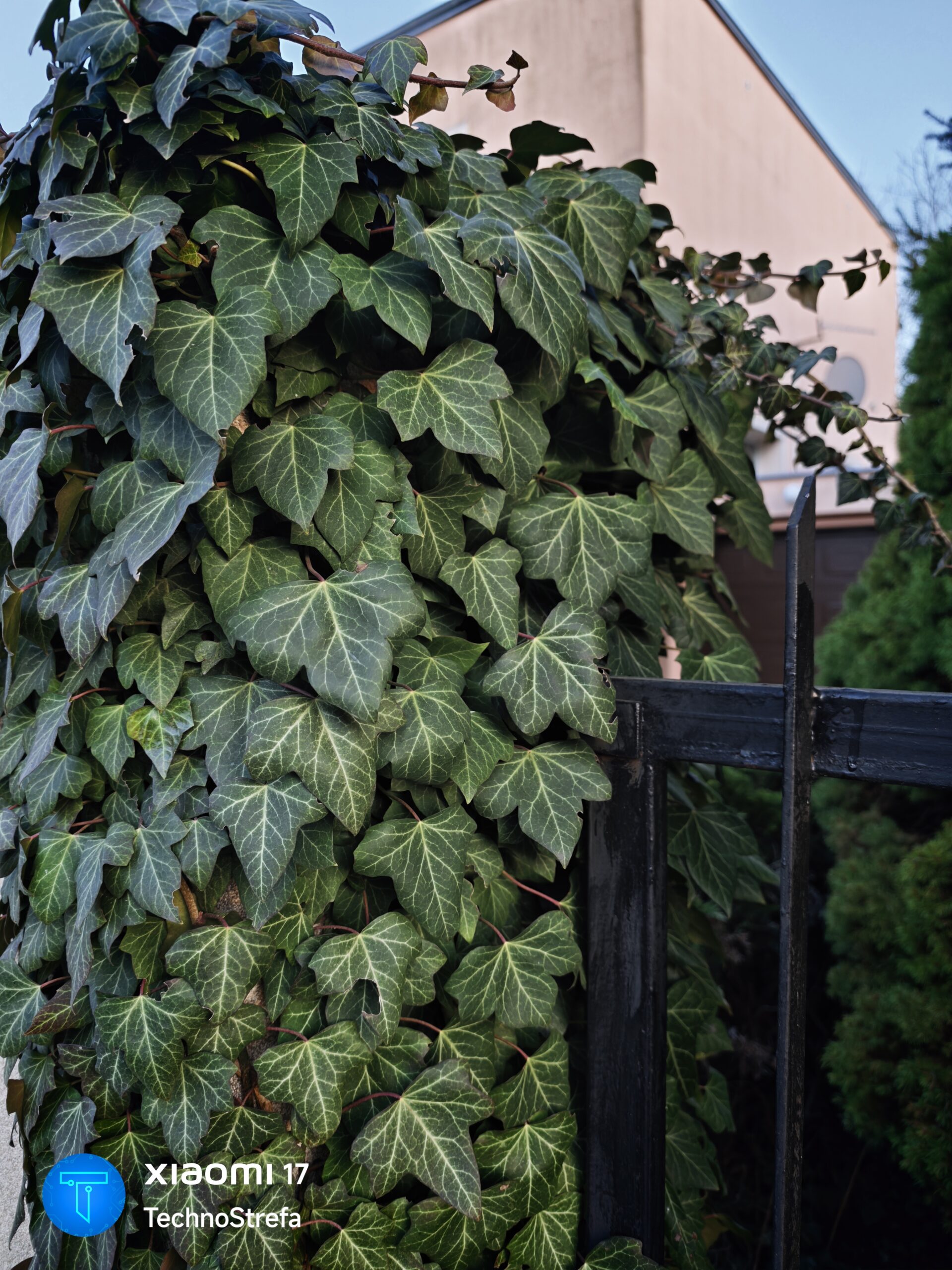 Zdjęcie wykonane przy użyciu Xiaomi 17