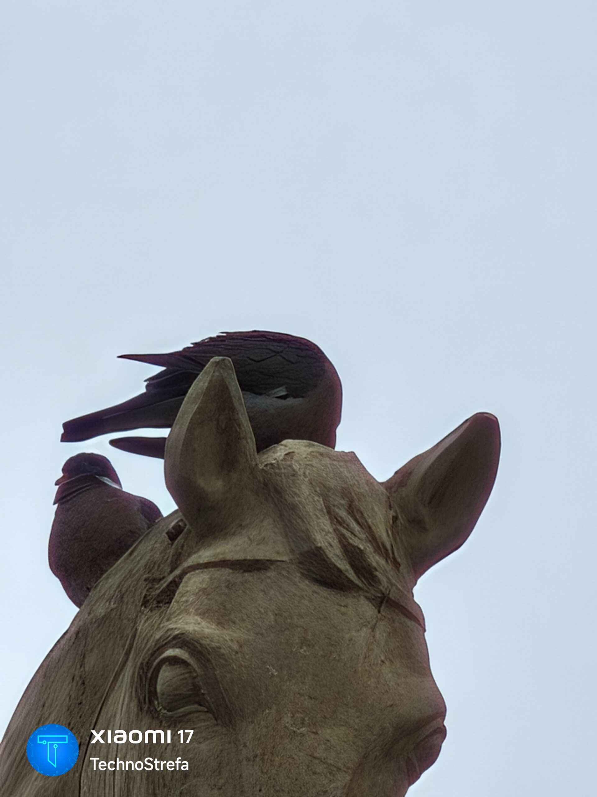 Zdjęcie wykonane przy użyciu Xiaomi 17