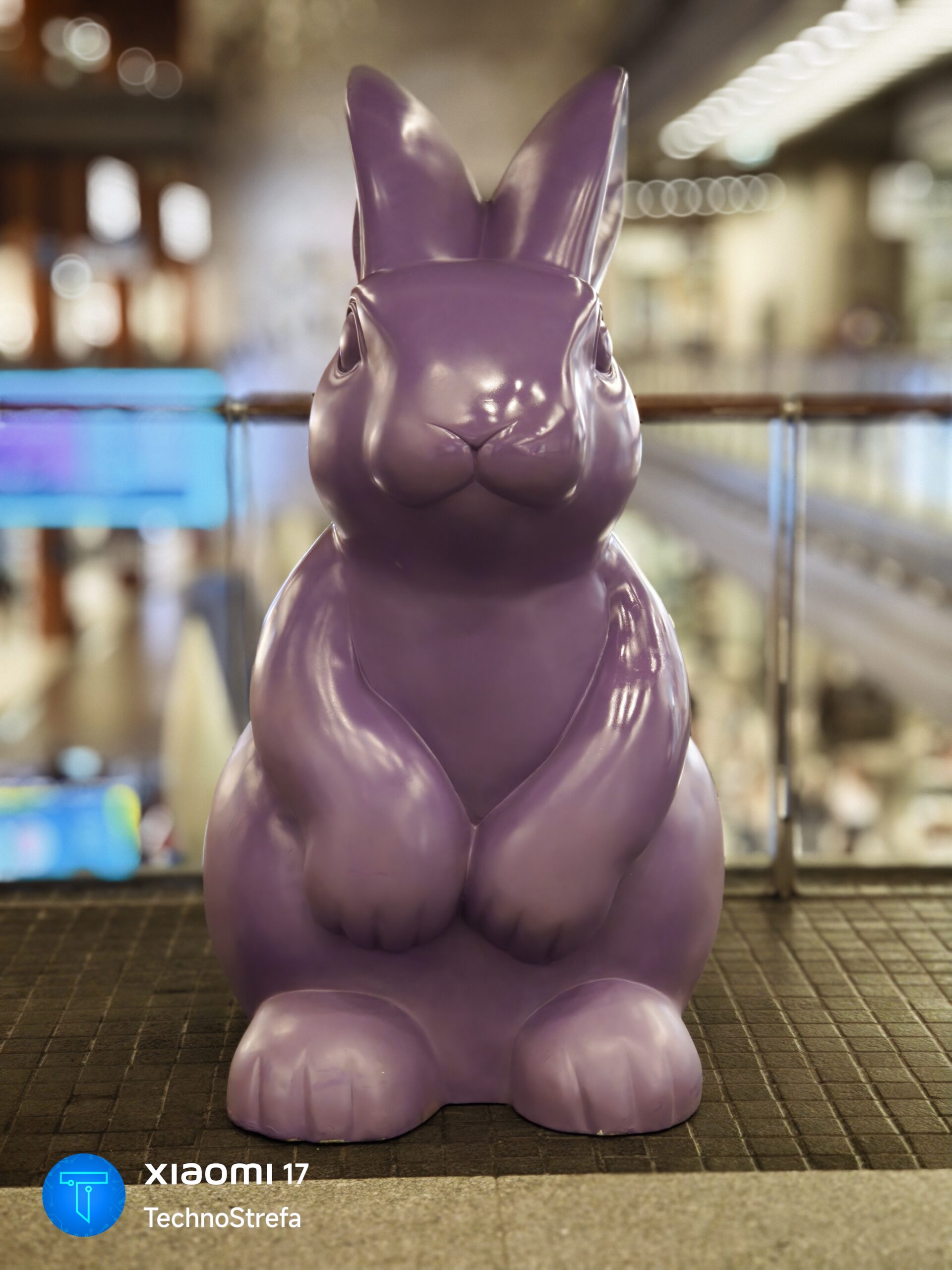 Zdjęcie wykonane przy użyciu Xiaomi 17