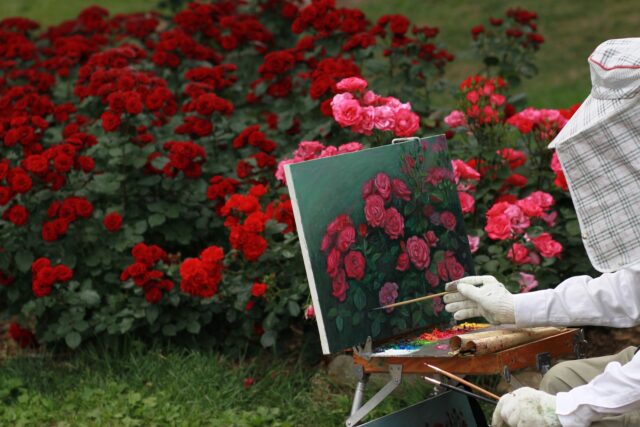 Inspiracja w postaci atrakcyjnych wizualnie róż odzwierciedlana przez malarza na płótnie w plenerze.